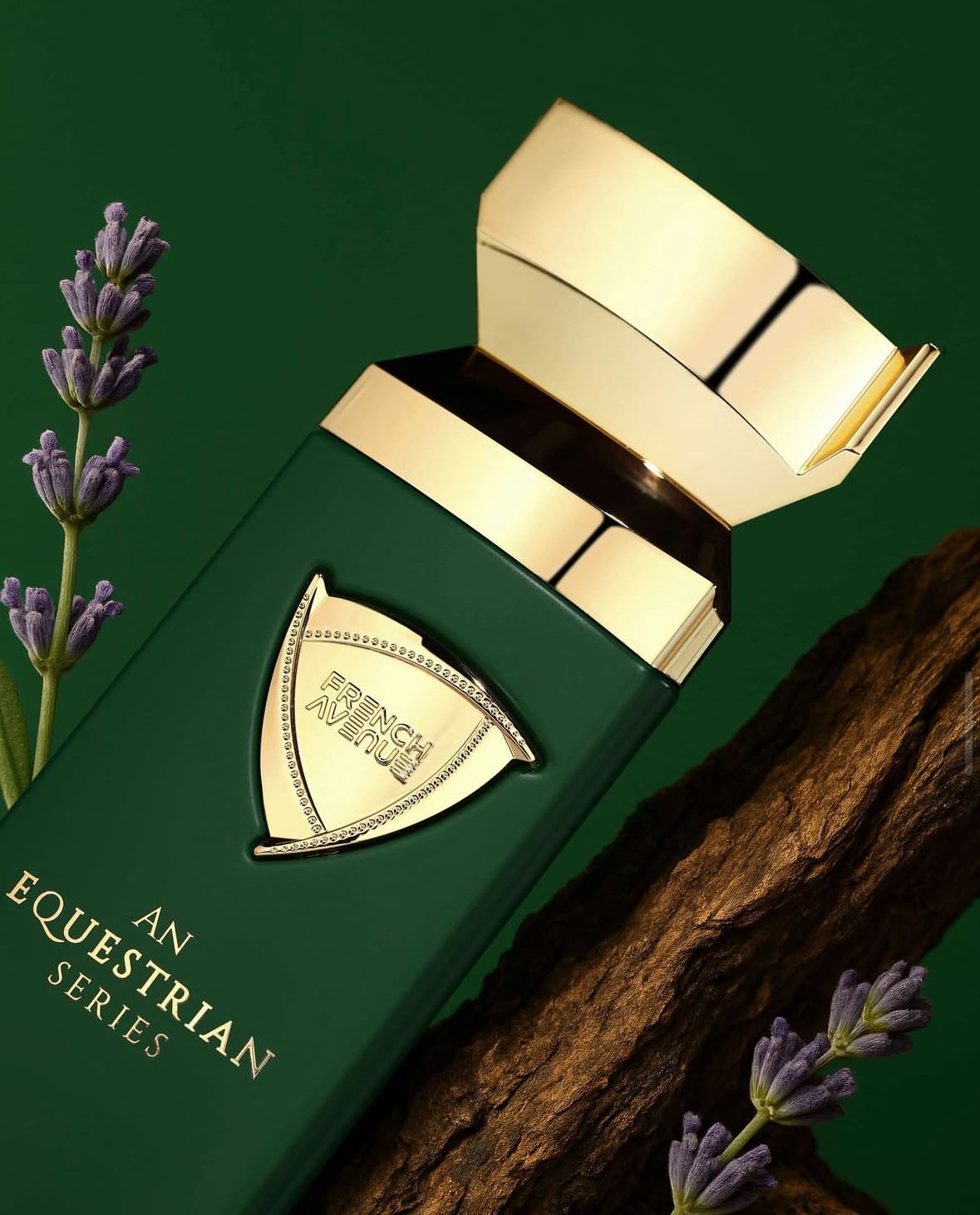AN EQUESTRIAN SERIES (HAYDAN)