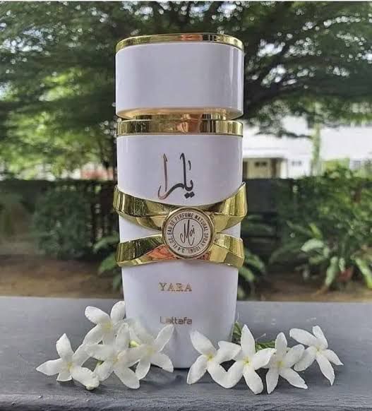 Yara Moi (WHITE)