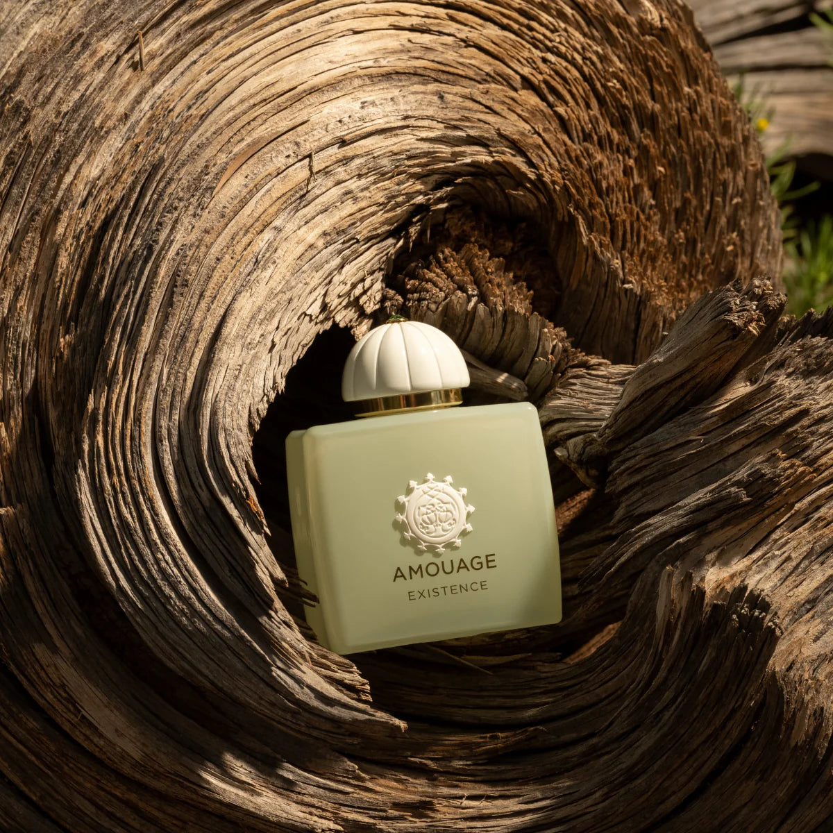 Existence by Amouage
