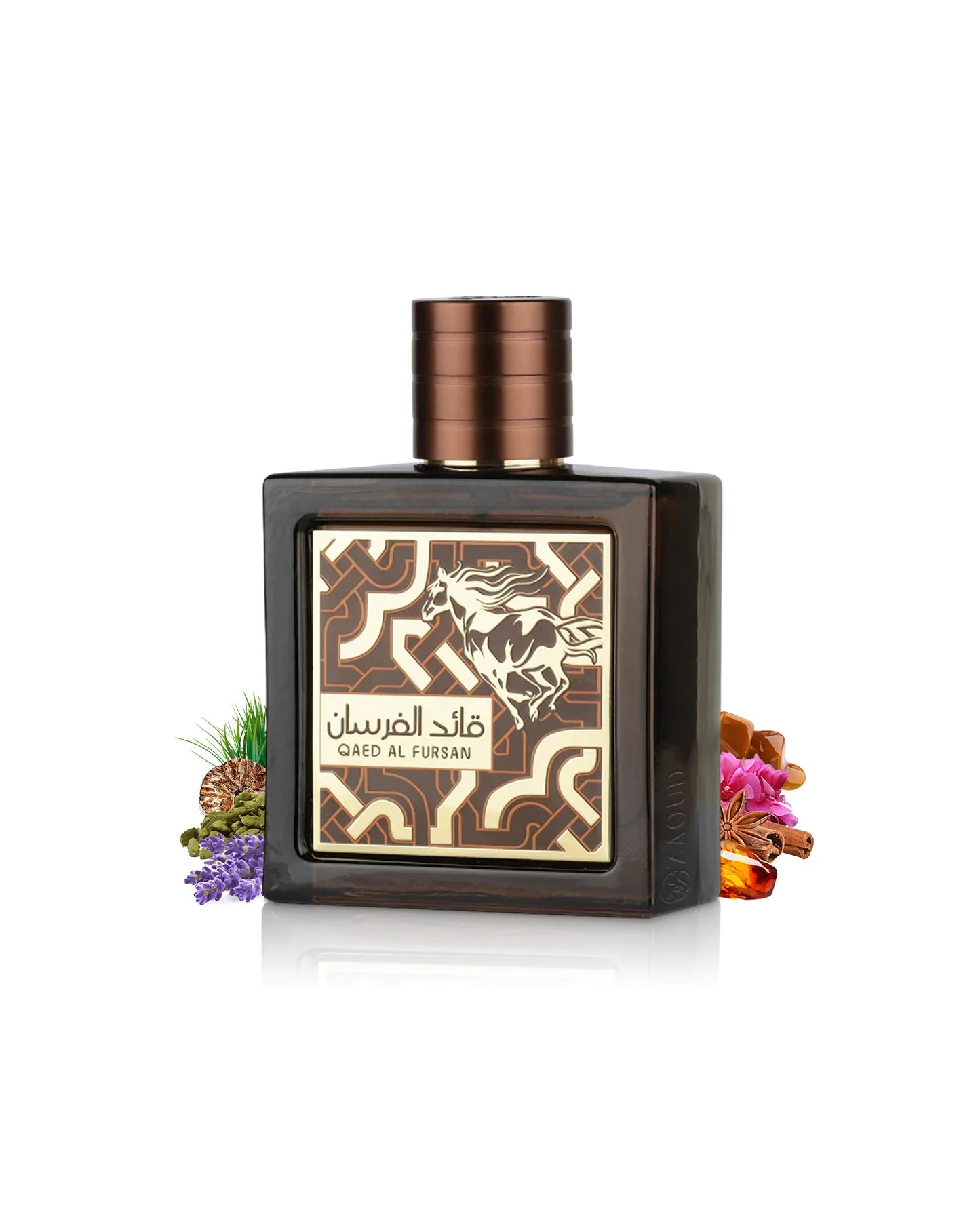 QAEED AL FURSAN UNTAMED (BROWN)