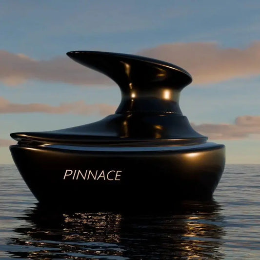 PINNACE NOIR | French Avenue