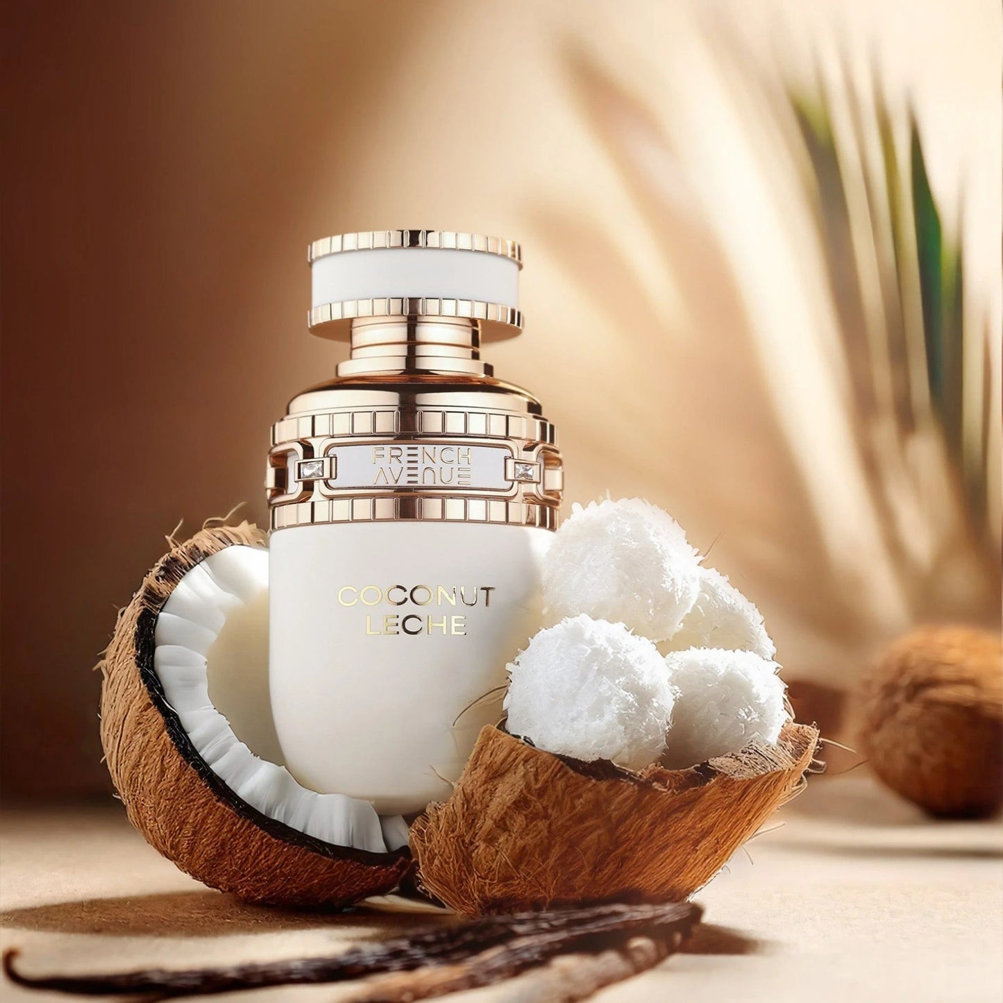 COCONUT LECHE | French Avenue