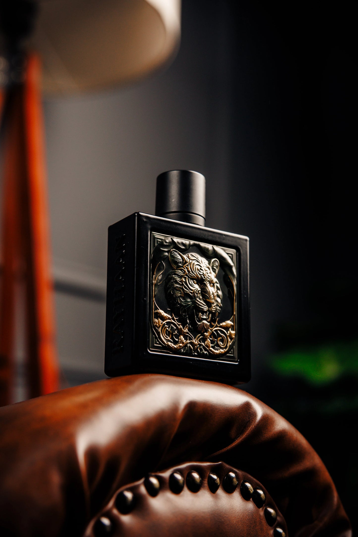 Tiger – Rayhaan